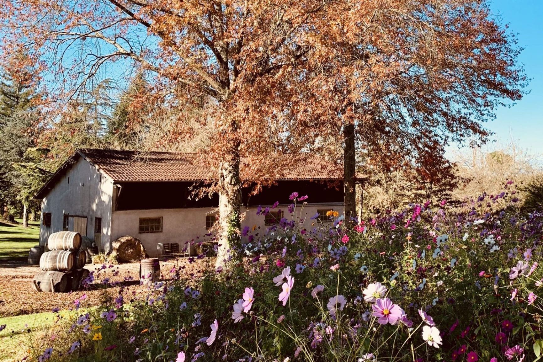 Domaine de Marquestau